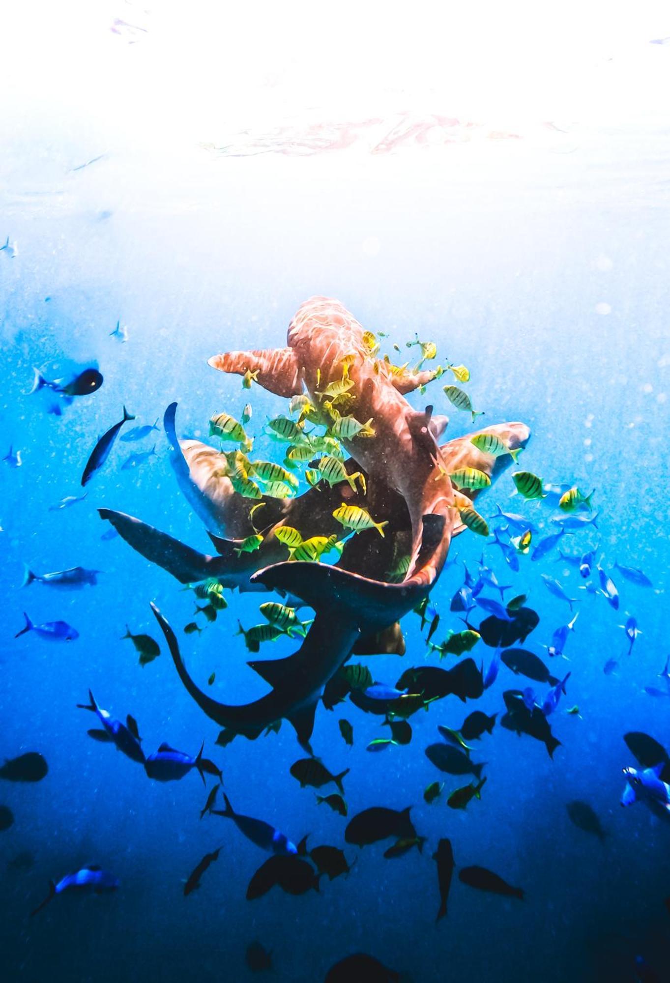 Aria Beach, Ukulhas Ngoại thất bức ảnh